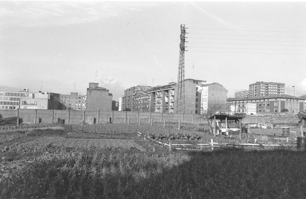 C7.1 Ibarrekolanda 1980